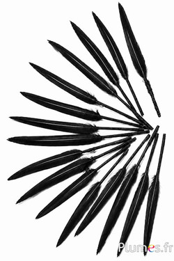 Gans - 5-8 cm - zwart